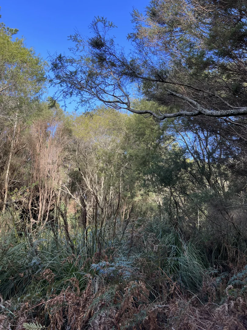 Additional image 8 of 1038 Pegarah Road, Naracoopa TAS 7256