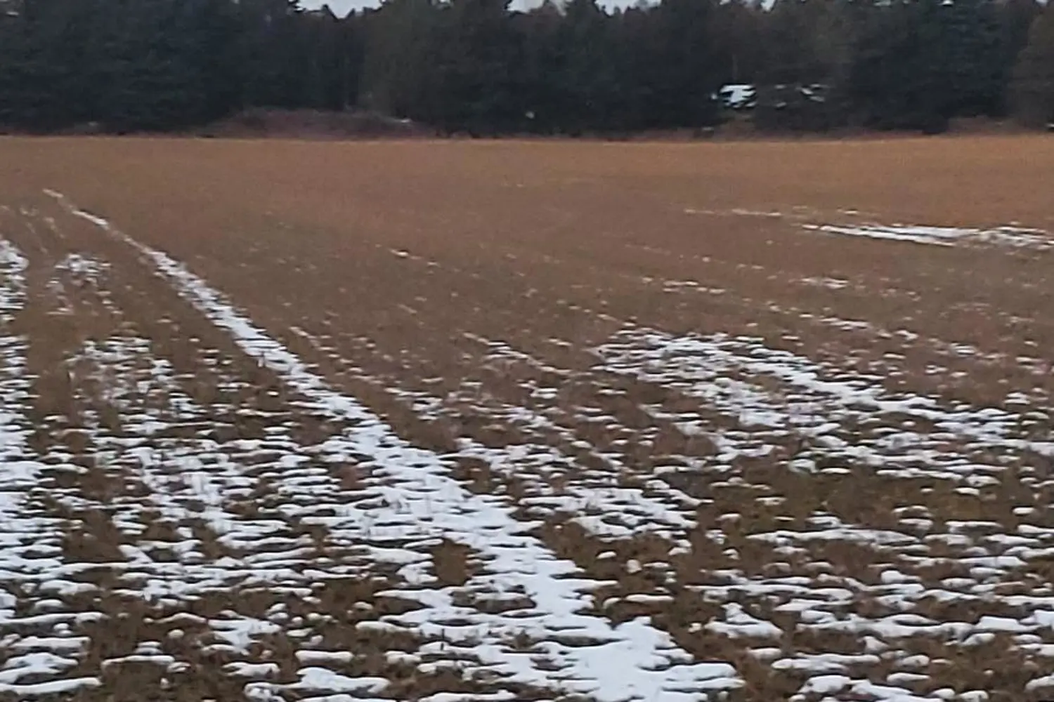 Additional image 6 of 0 Cole Road