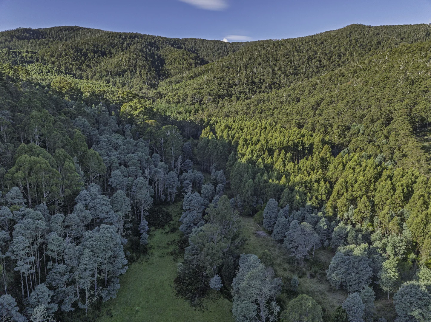 Additional image 9 of Judbury TAS 7109