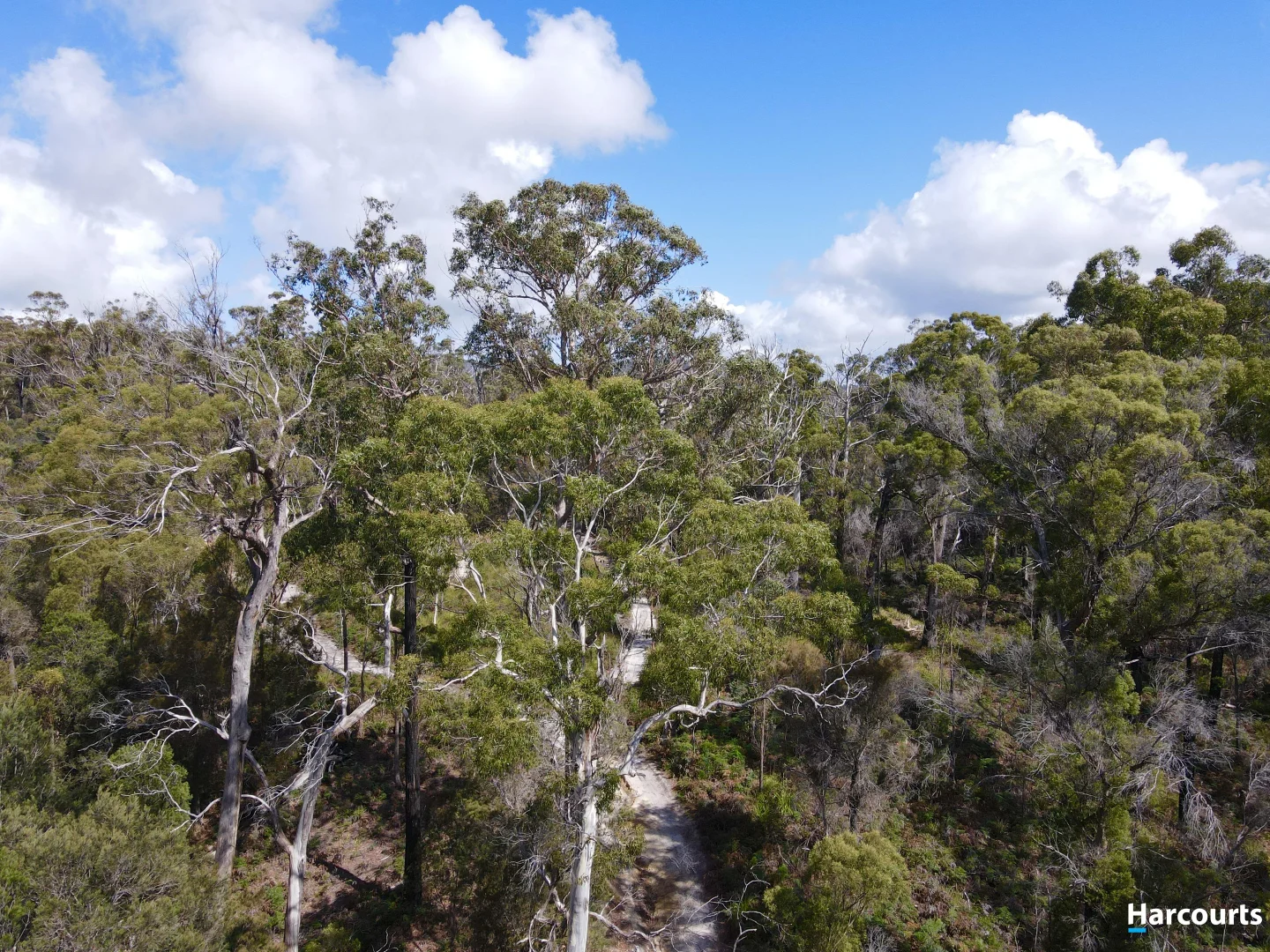 Additional image 10 of 311 Medeas Cove Road, St Helens TAS 7216