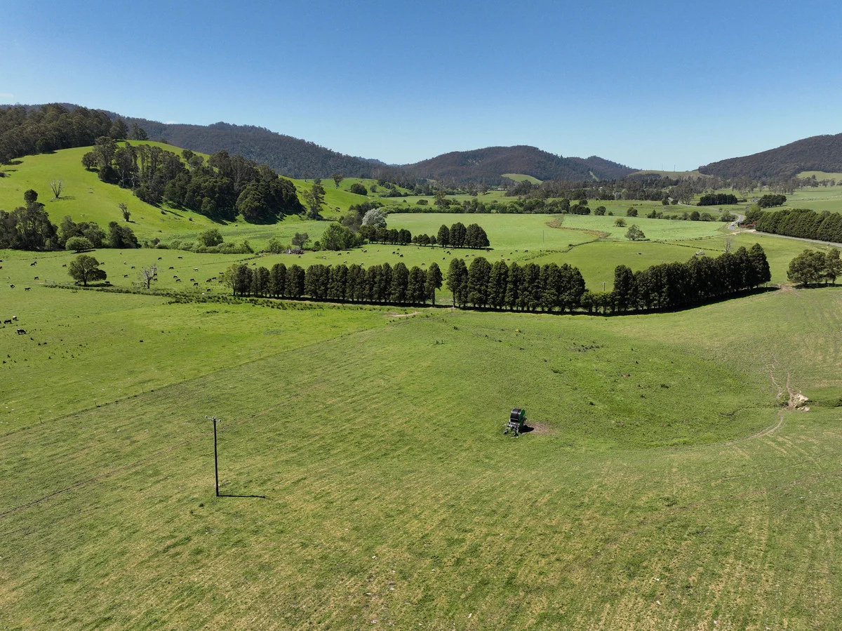 Additional image 10 of 569 St Columba Falls Road, Pyengana TAS 7216