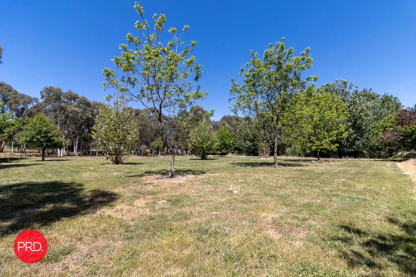 Additional image 10 of Ellendon Street, Bungendore NSW 2621