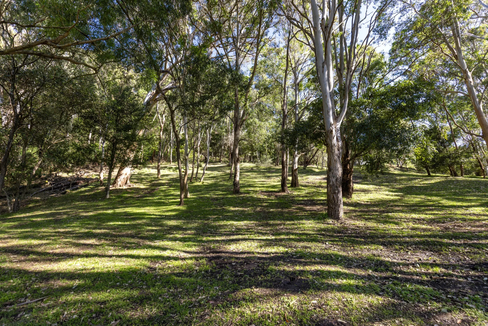 Additional image 26 of 85B Northview Close, Coolangatta NSW 2535