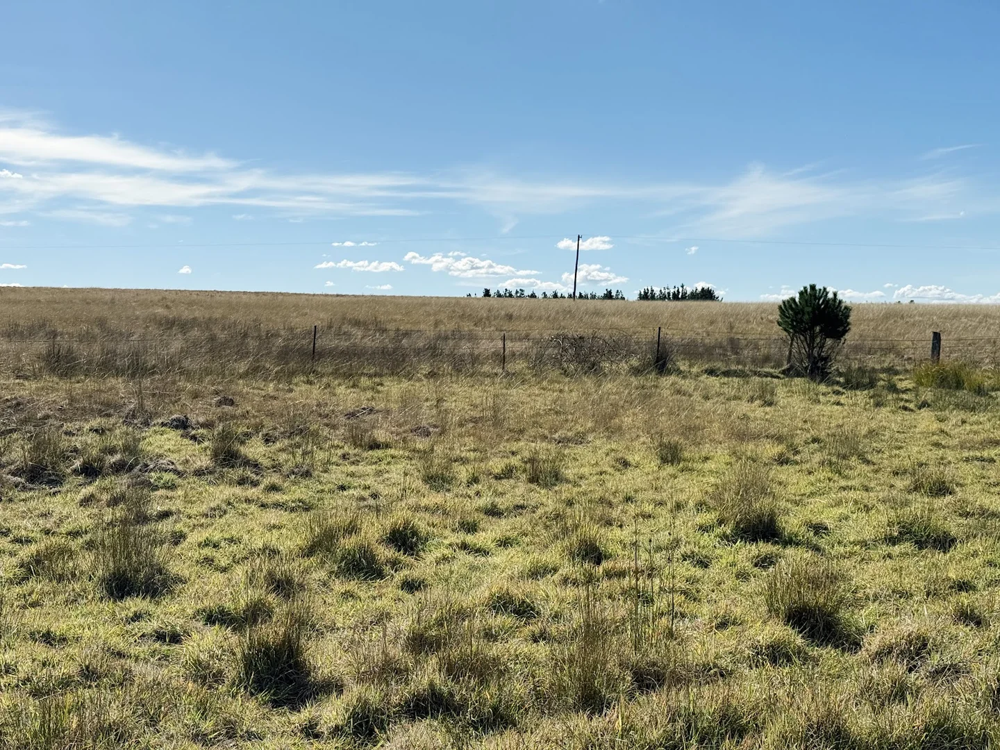 Additional image 5 of 609 Jacqua Road, Windellama NSW 2580