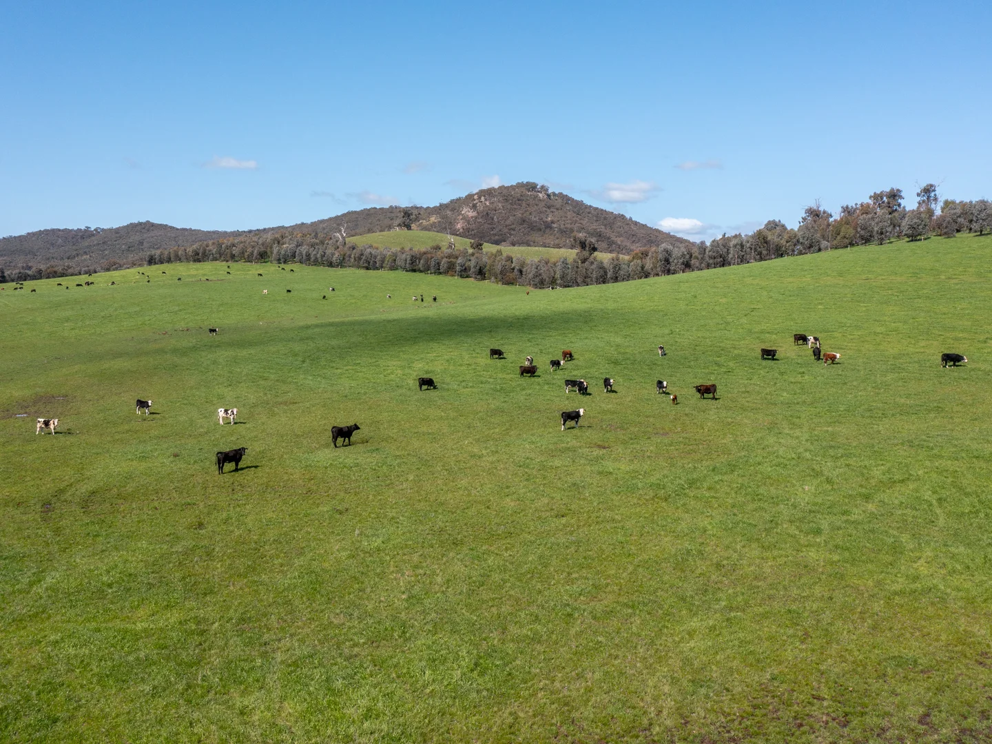 Additional image 29 of 97 Granite Road, Lurg VIC 3673