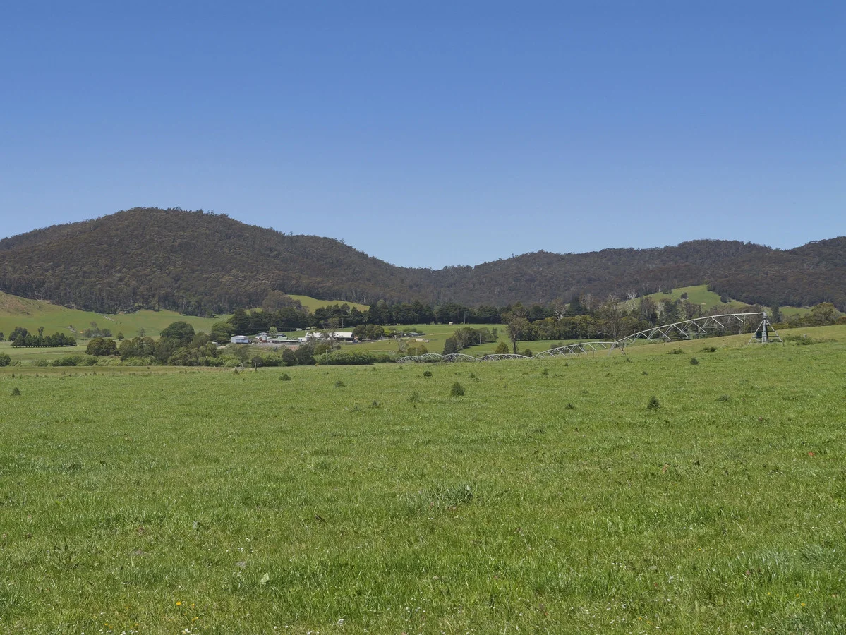 Additional image 9 of 569 St Columba Falls Road, Pyengana TAS 7216