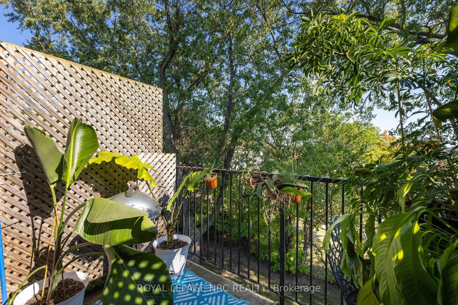 Additional image 11 of 456 Carlton Street 34