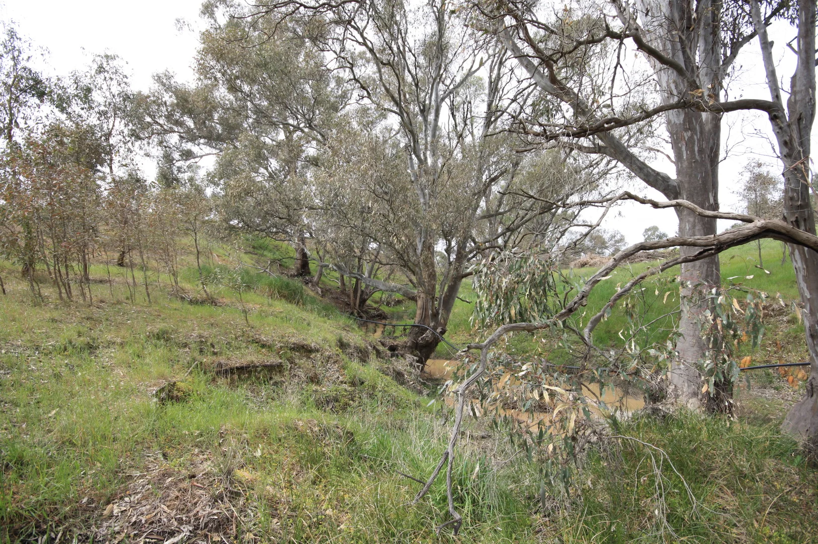 Additional image 8 of Lot 14 Browne Lane, Muskerry VIC 3557