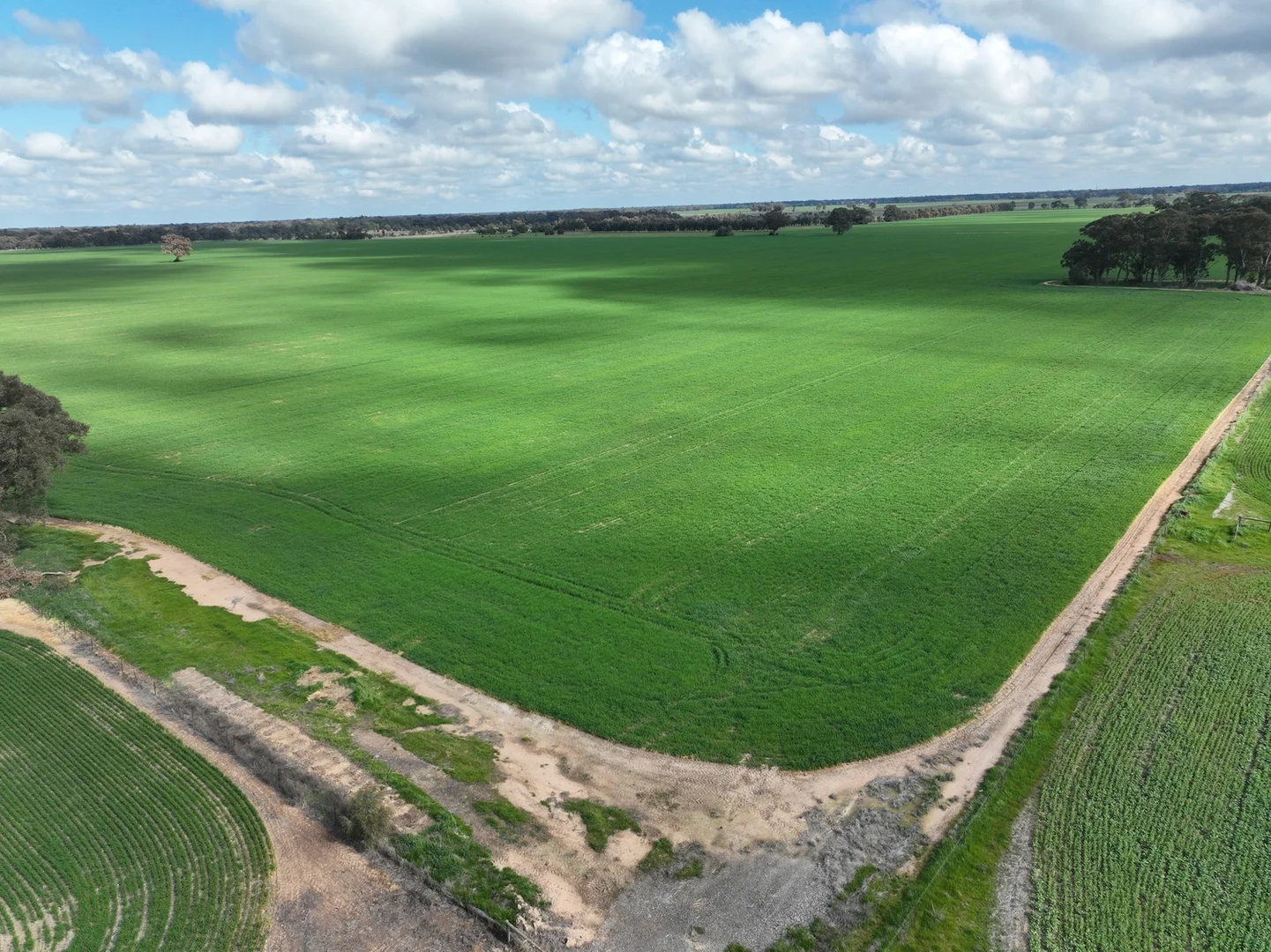 Additional image 7 of 0 Labuan Road, Numurkah VIC 3636