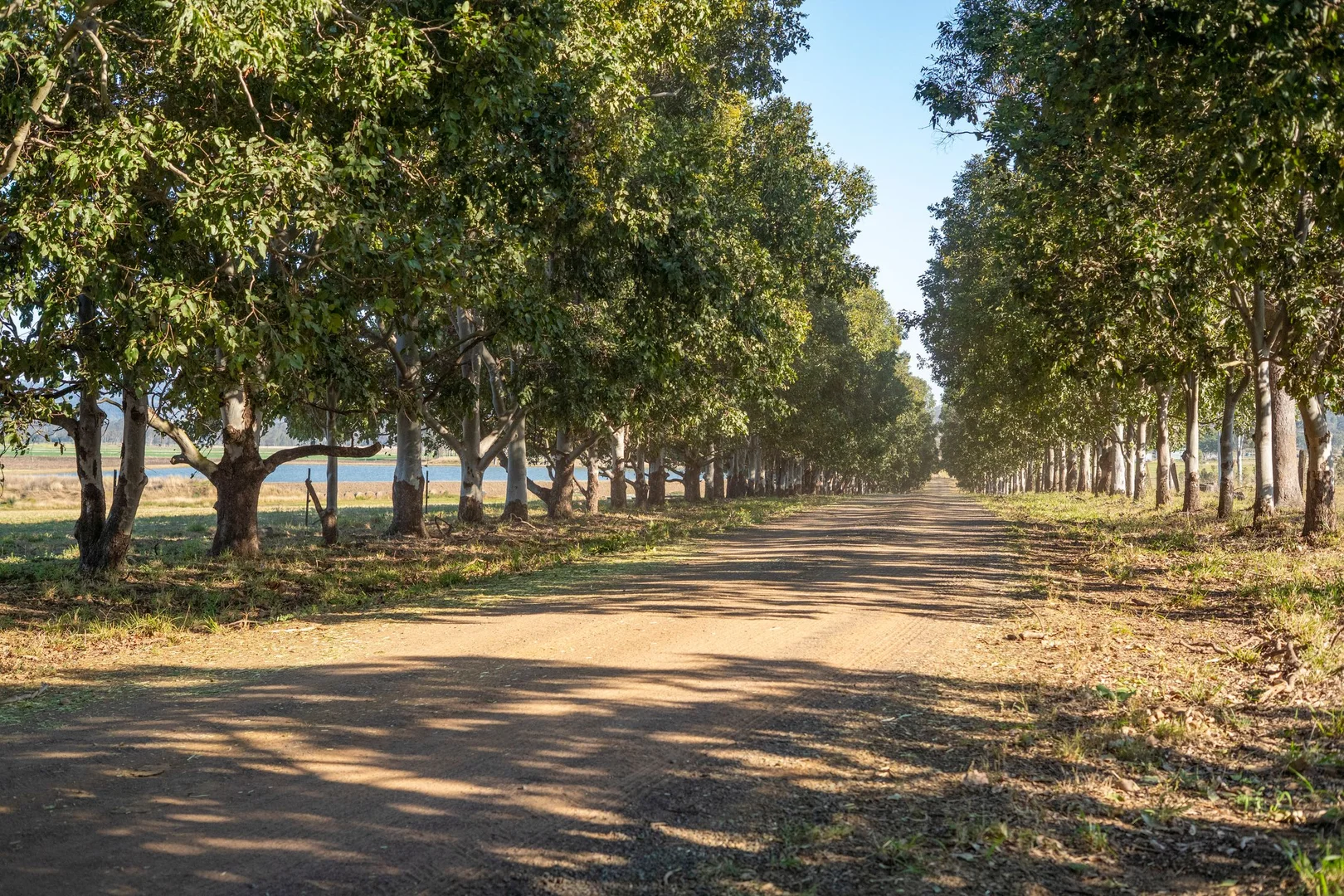 Additional image 21 of 51 Patrick Road, Clarendon QLD 4311