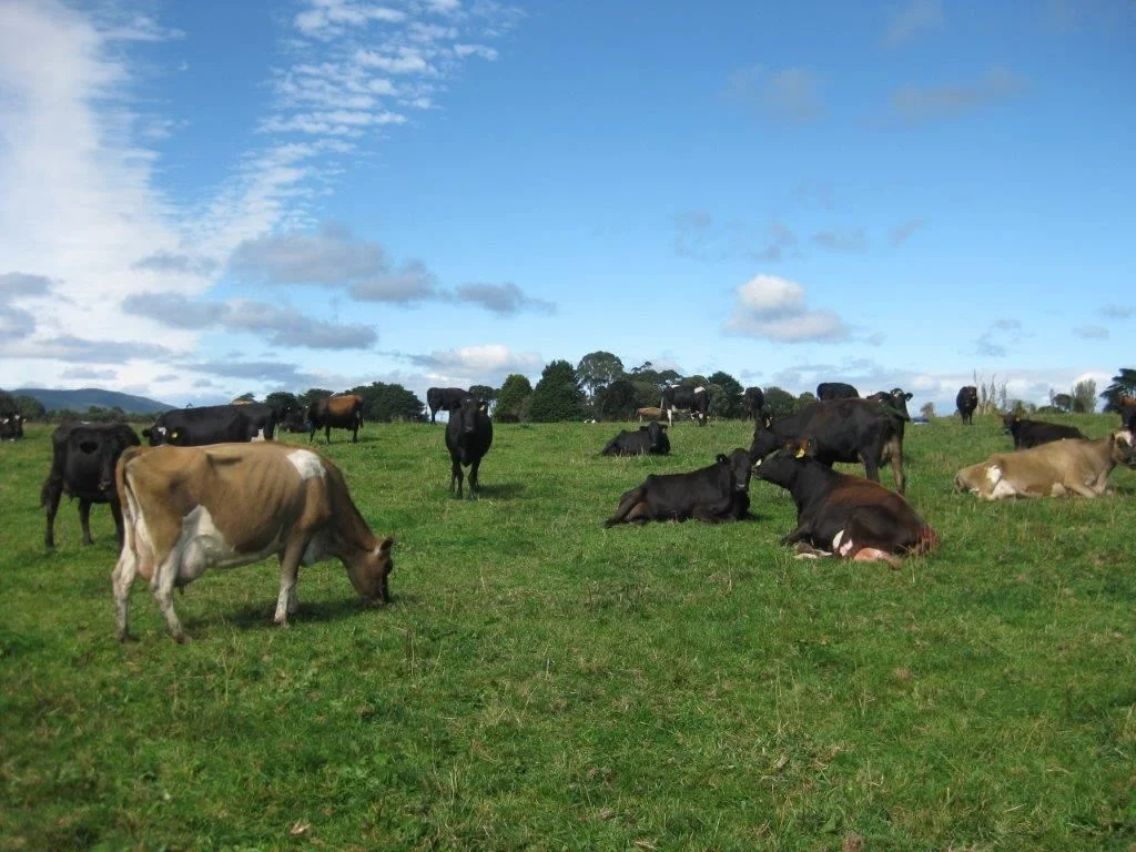 Additional image 3 of 1719 Mawbanna Road, Mawbanna TAS 7321