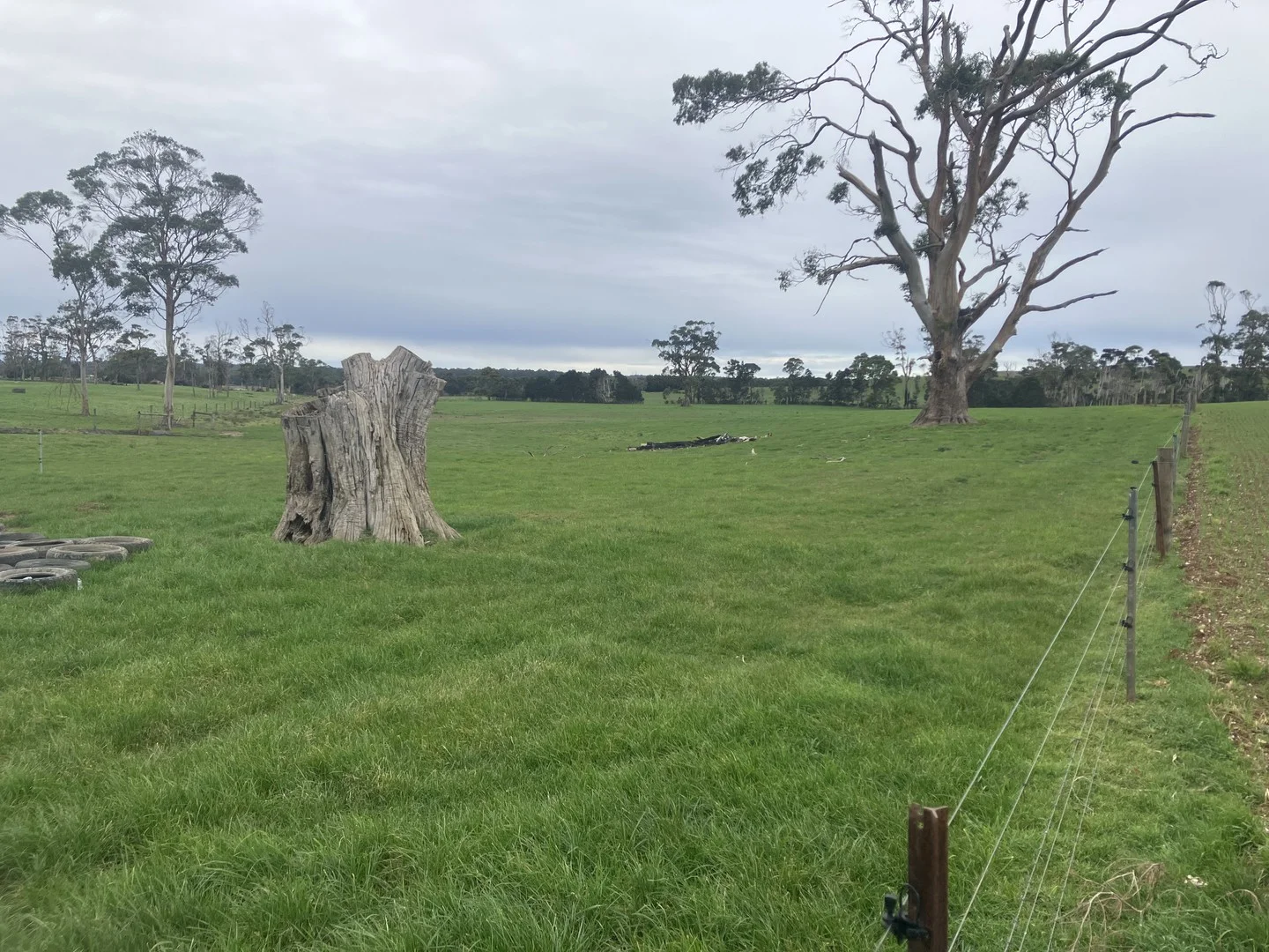 67 Myrtle Grove Road, Wiltshire TAS 7321