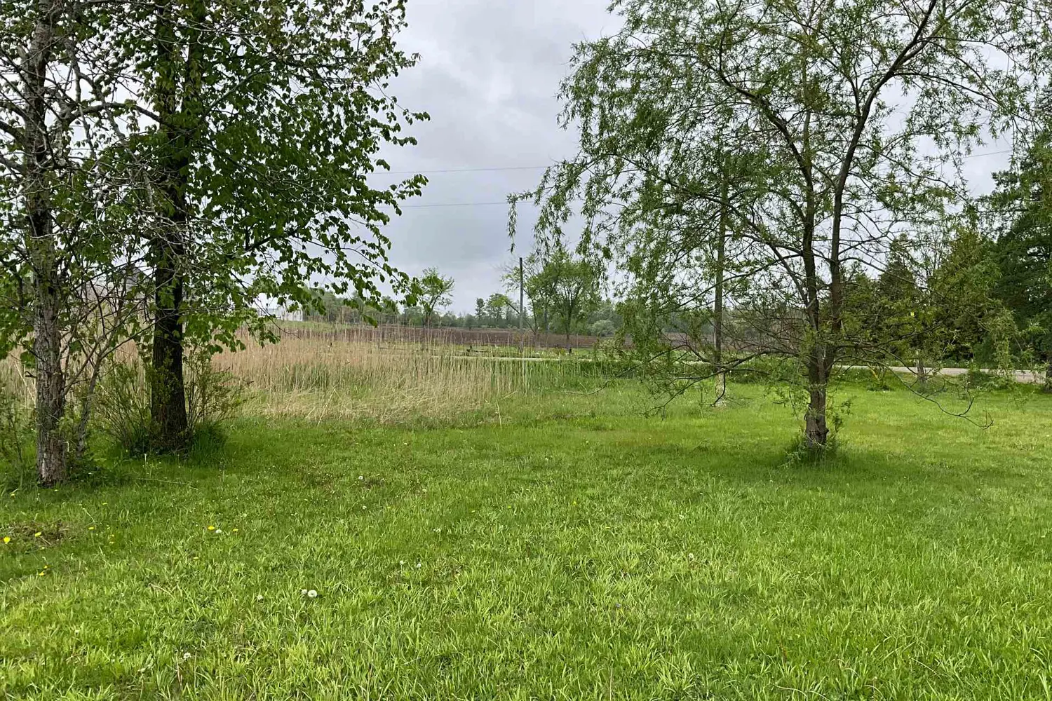 Additional image 5 of 5169 First Line