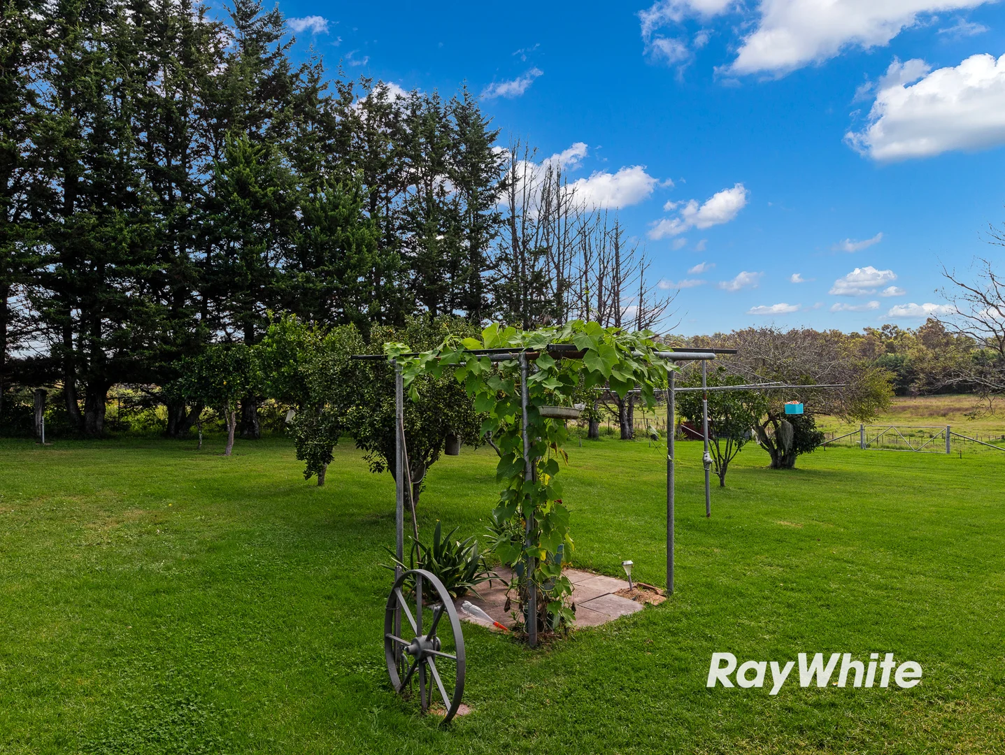 Additional image 37 of 99A Yarragee Road, Moruya NSW 2537