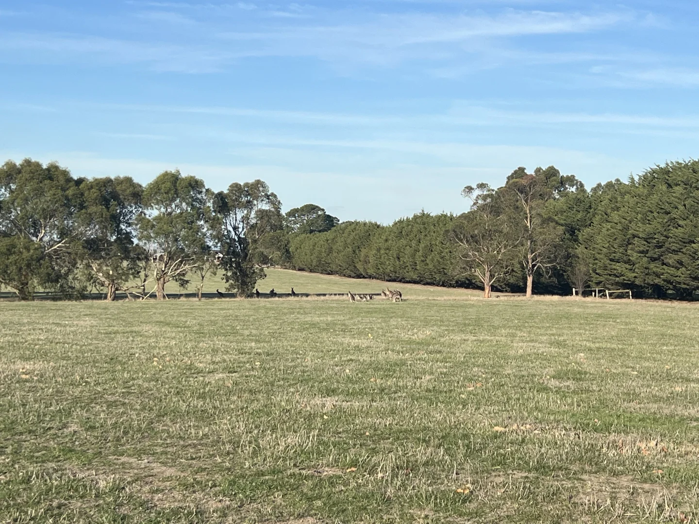 Additional image 3 of Floreat Court, Gisborne VIC 3437