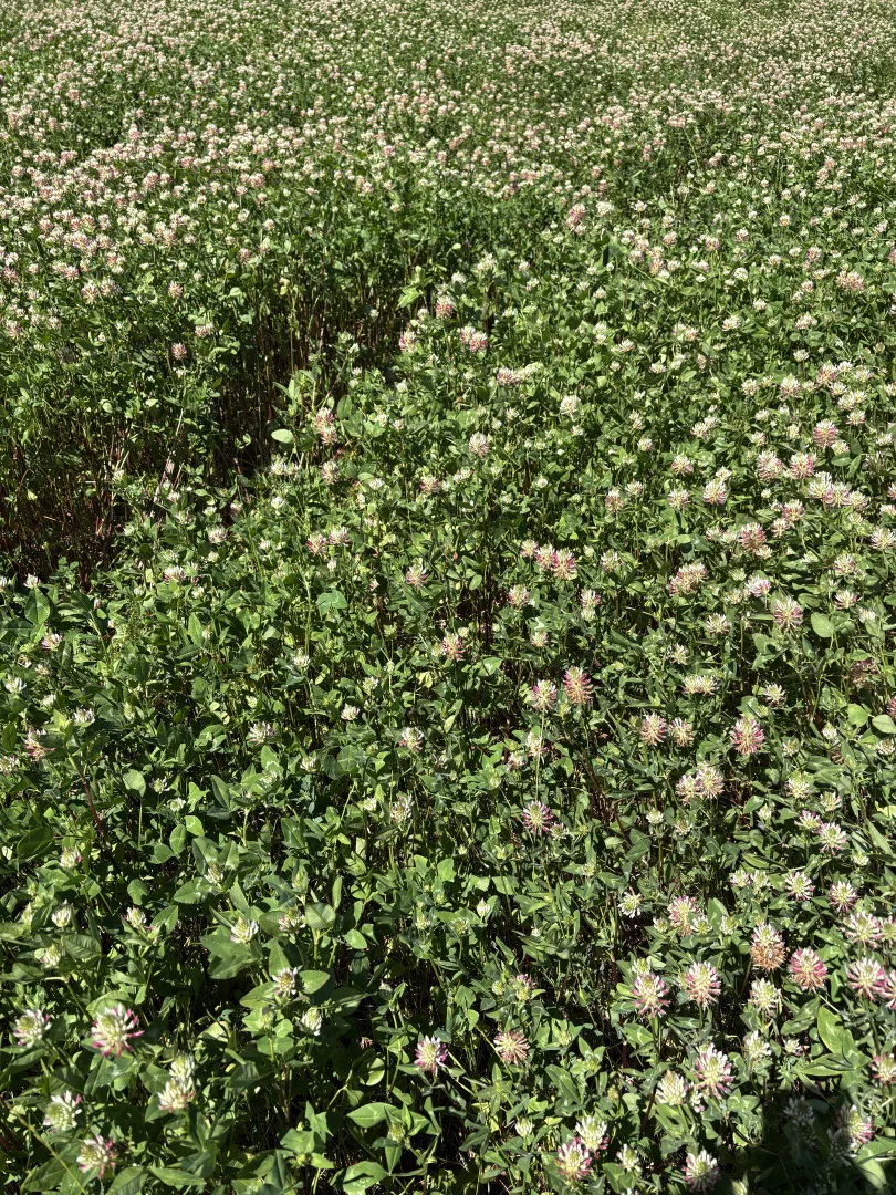 Additional image 26 of 2824 Neilrex Road, Coolah NSW 2843