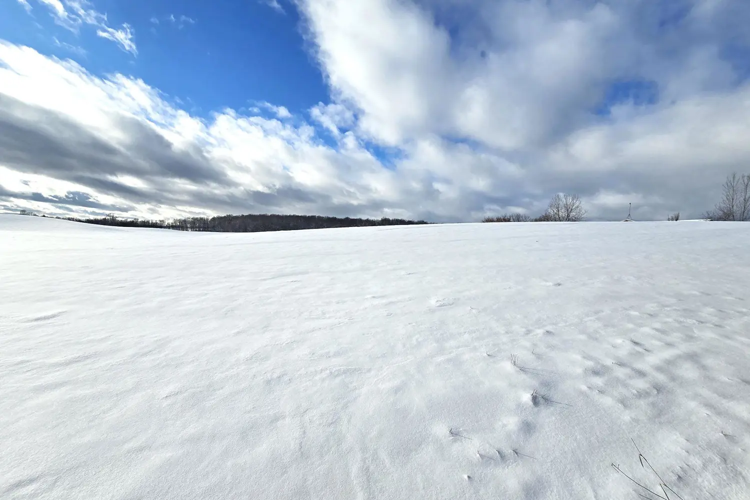 Additional image 3 of 0 Willet Road