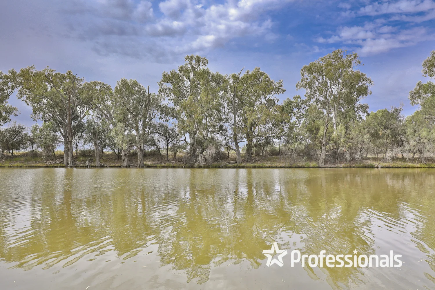 Additional image 10 of 1-18/46-50 Armstrong Avenue, Wentworth NSW 2648