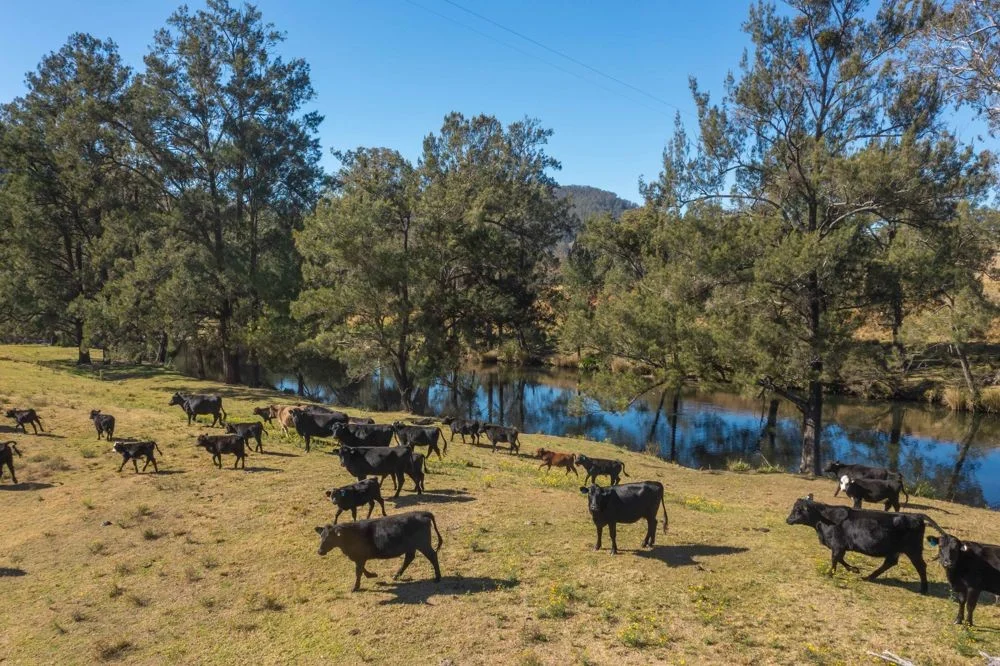 Additional image 17 of 175 Mount Seaview Road, Mount Seaview NSW 2446