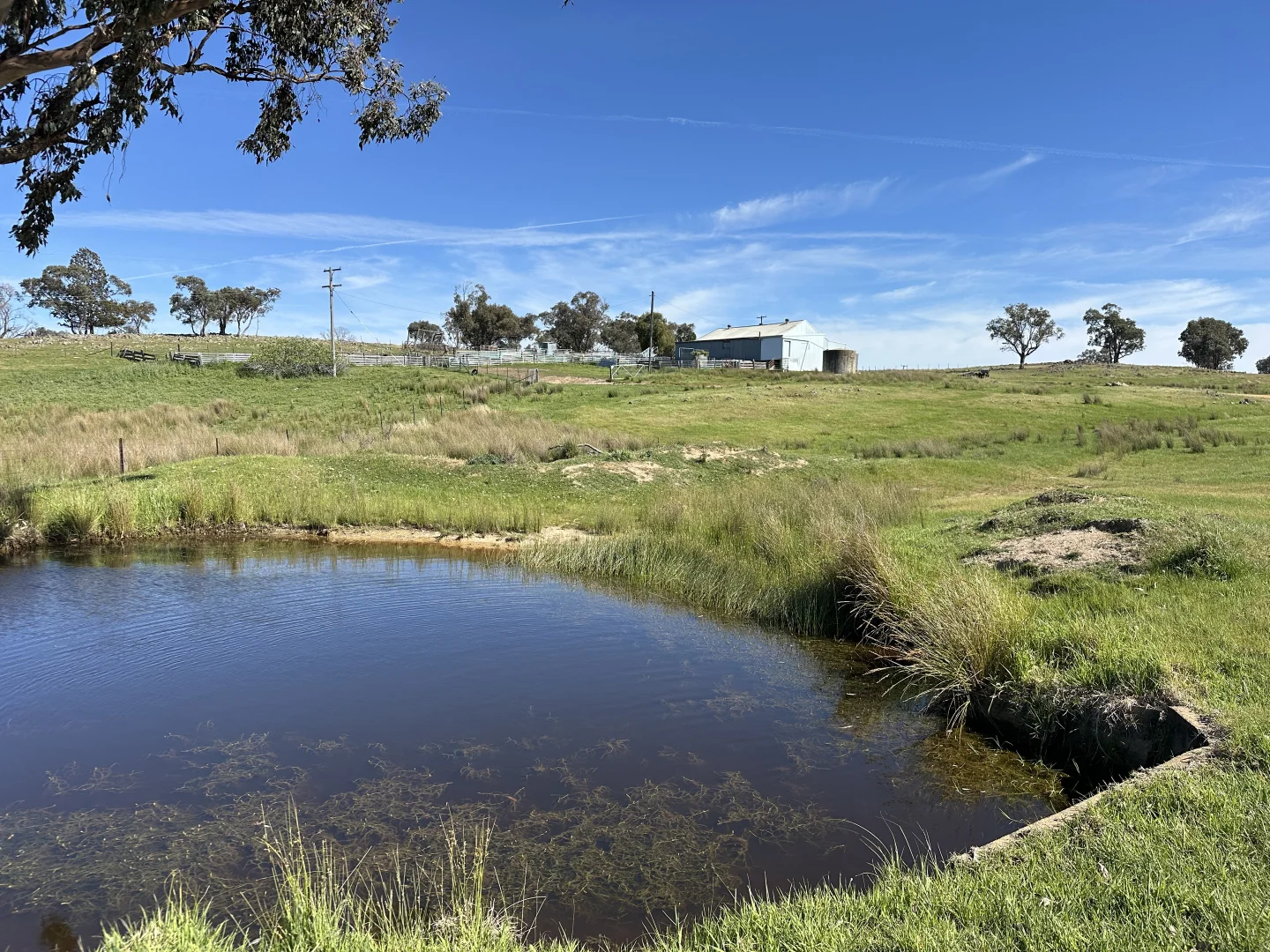 Additional image 15 of 424 Trebane Road, Crowther NSW 2803