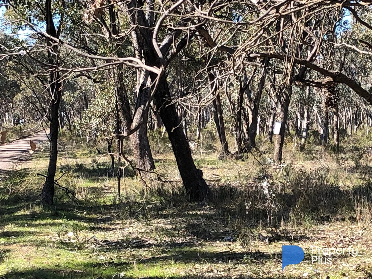 Additional image 12 of 18 & 19 Derby Road, Campbells Forest VIC 3556