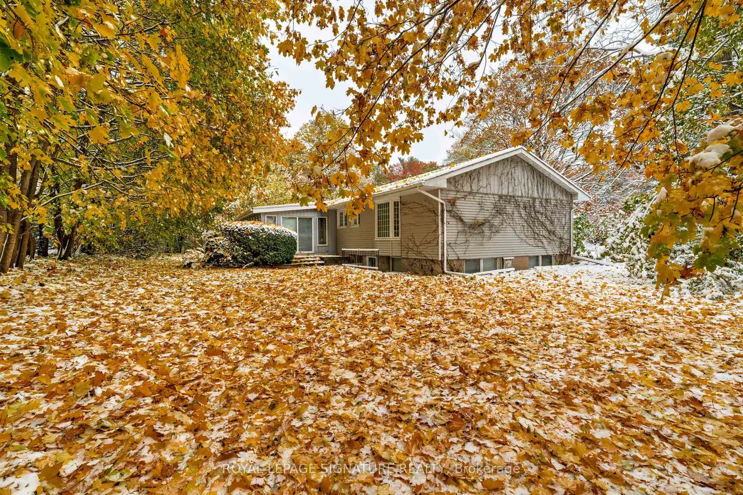 Additional image 15 of 332 Coral Terrace