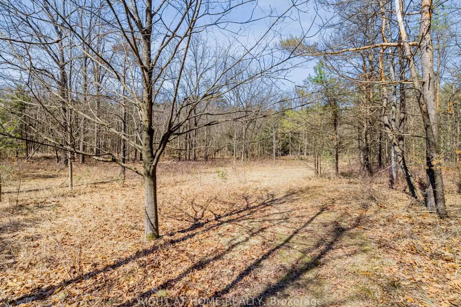 Additional image 16 of 4282 Vivian Road