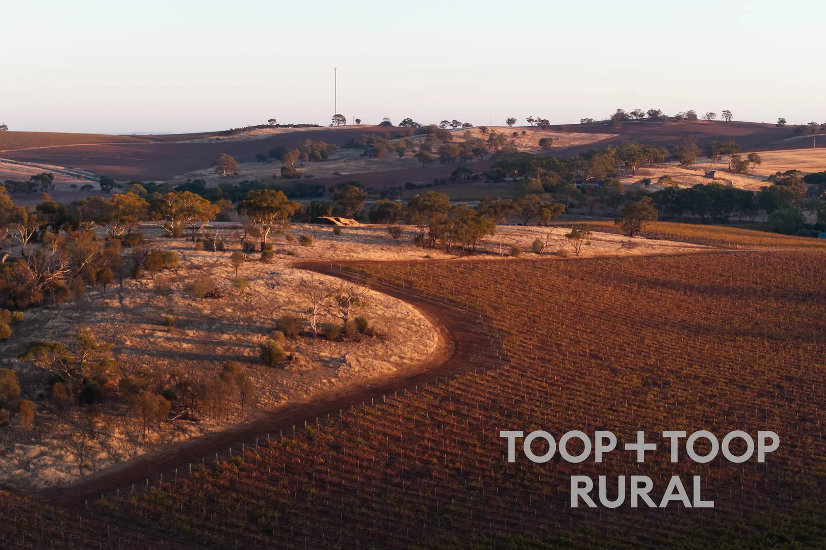 Additional image 31 of 87 Sir Condor Laucke Way, Greenock SA 5360