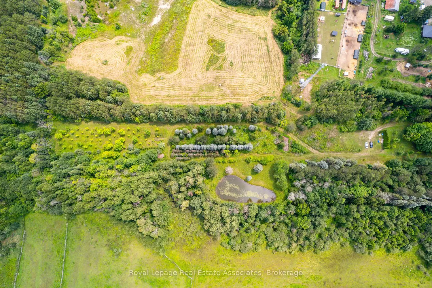 Additional image 7 of Pt 25 Fourth Line