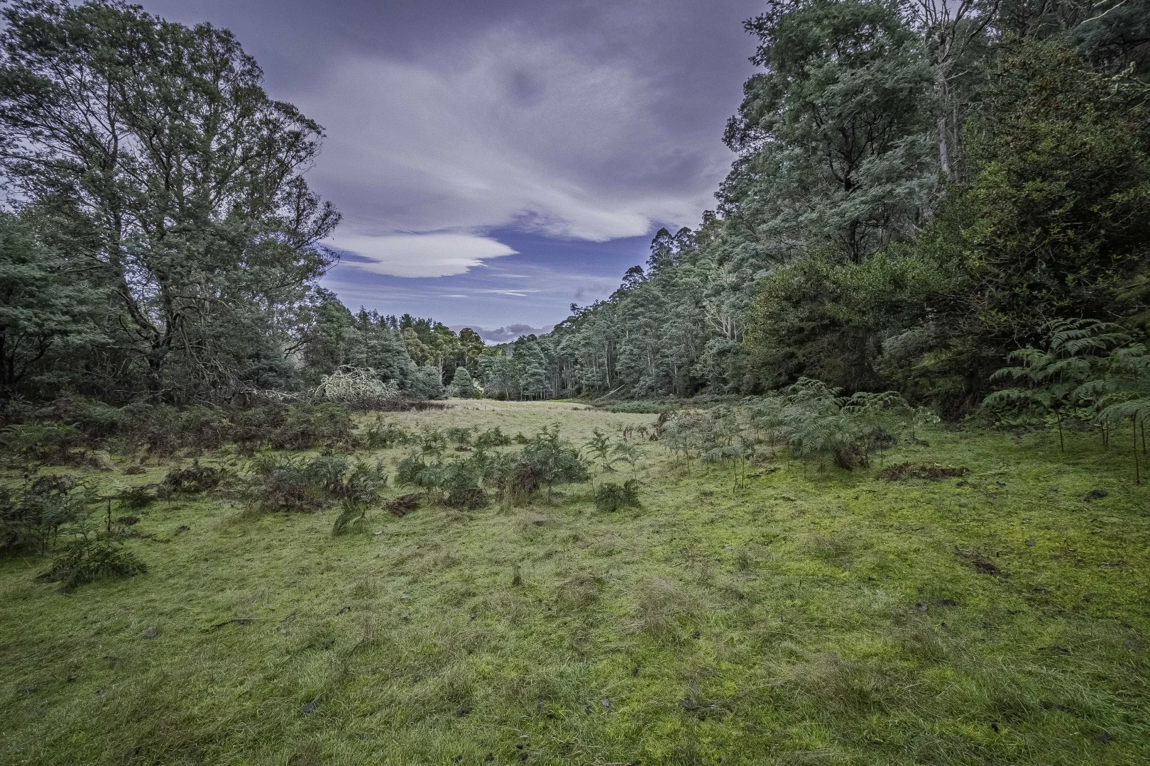 Additional image 3 of Judbury TAS 7109