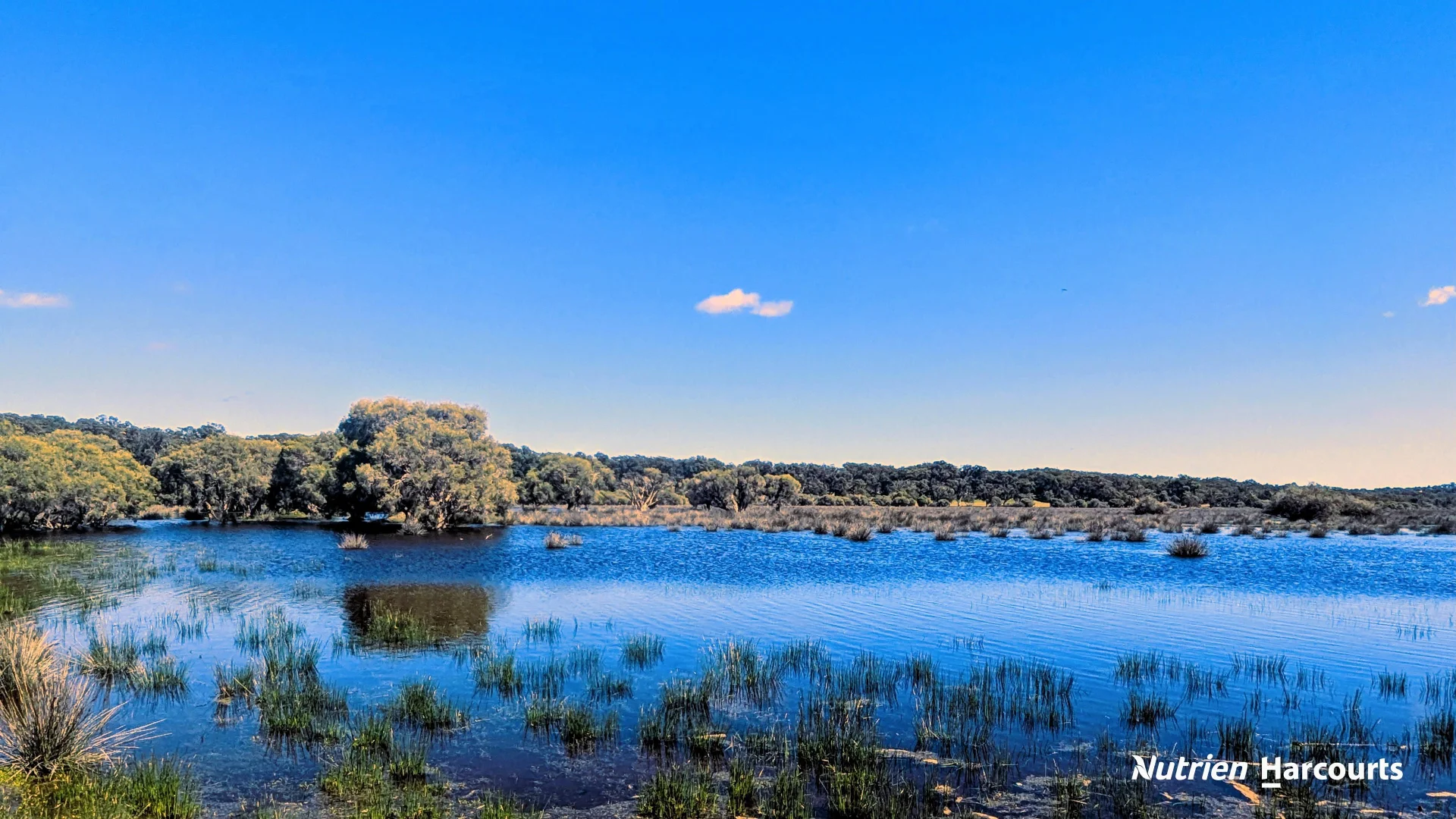 Additional image 21 of Lot 52 Cowalla Road, Cowalla WA 6503