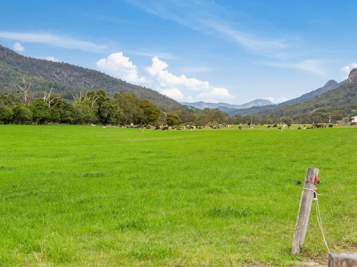 Additional image 8 of Tyalgum Road, Murwillumbah NSW 2484