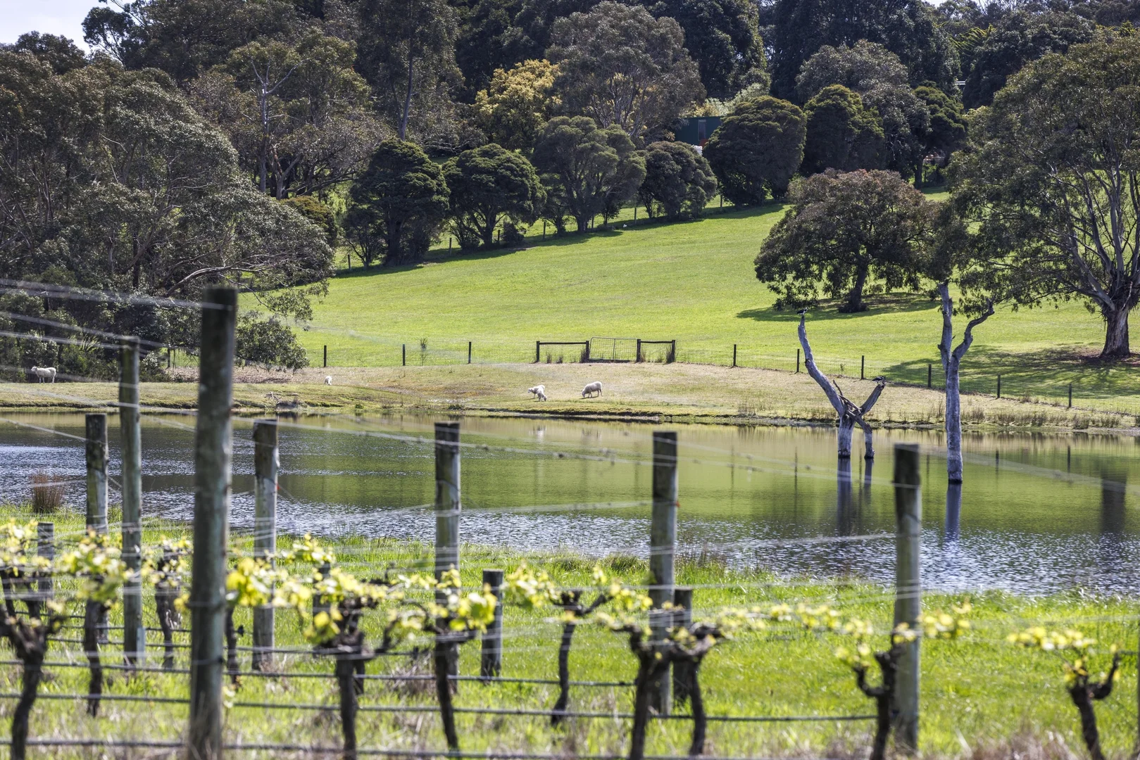 Additional image 2 of 50 Foxeys Road, Tuerong VIC 3915