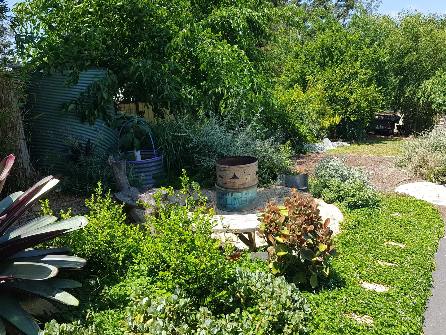 Additional image 25 of 3772 The Bucketts Way, Krambach NSW 2429