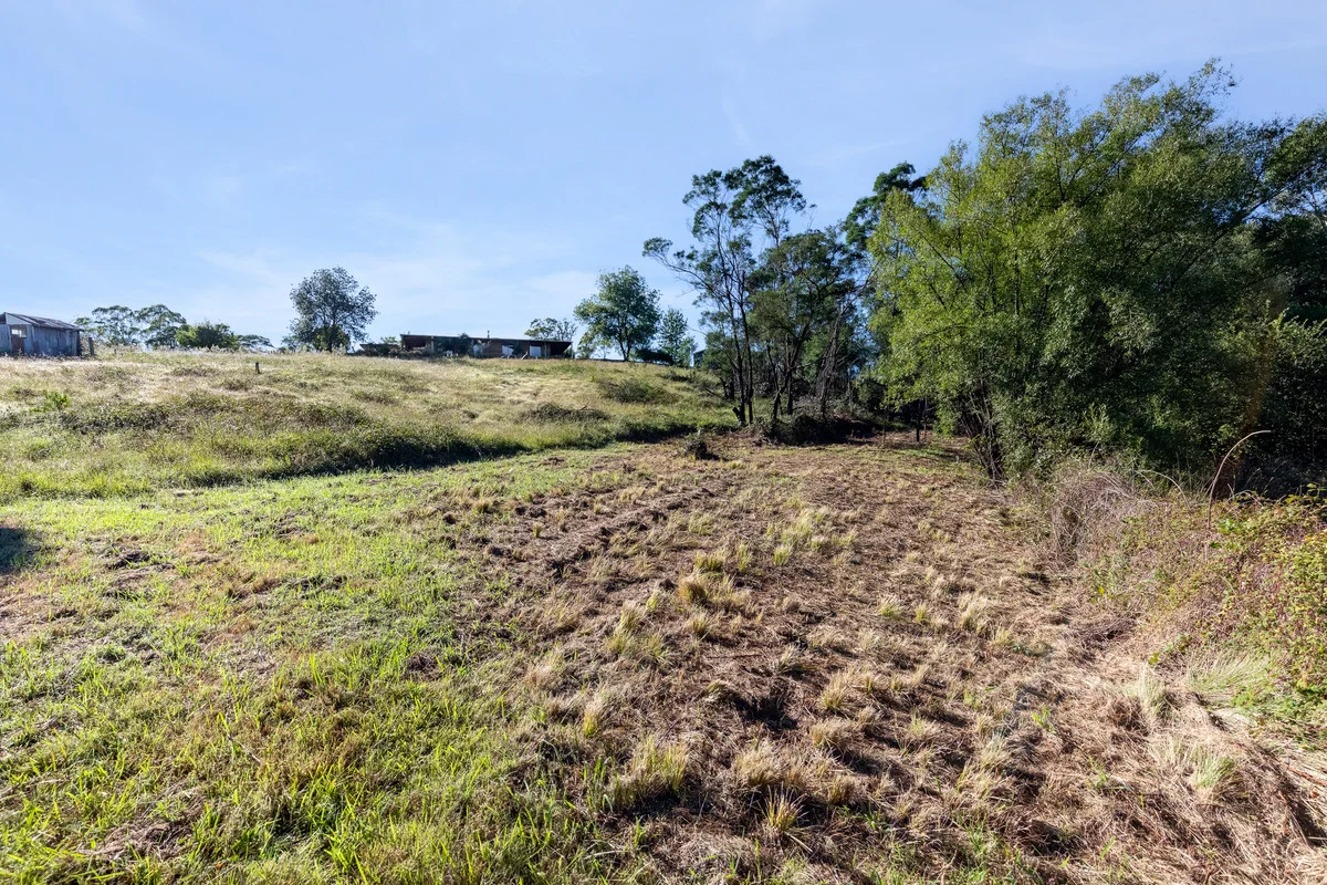 Additional image 4 of 24 Oak Street, Wyndham NSW 2550