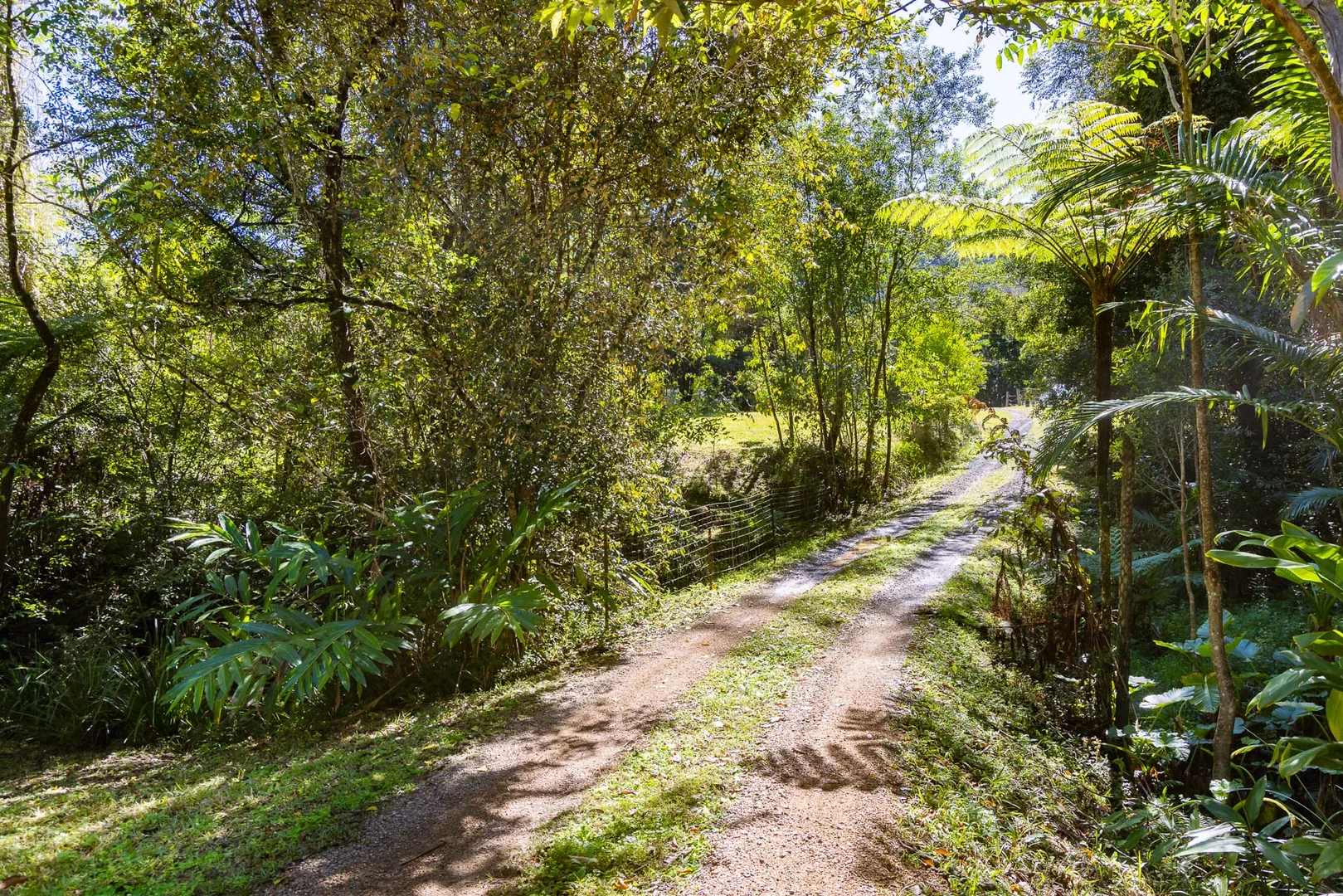 Additional image 29 of 448 Gold Creek Road, Eerwah Vale QLD 4562