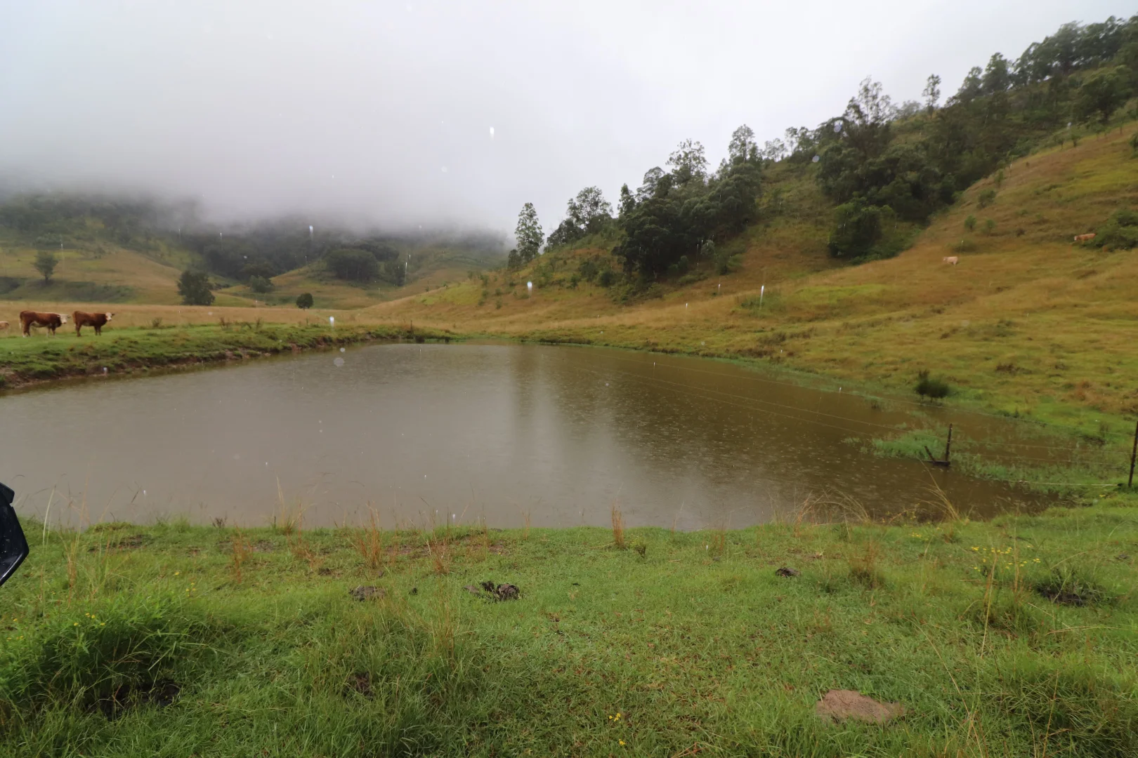 Additional image 5 of 95 Smiths Creek Road, Lower Creek NSW 2440