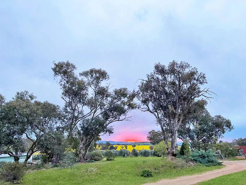 Additional image 11 of 15 Mary Gilmore Road, Wagga Wagga NSW 2650