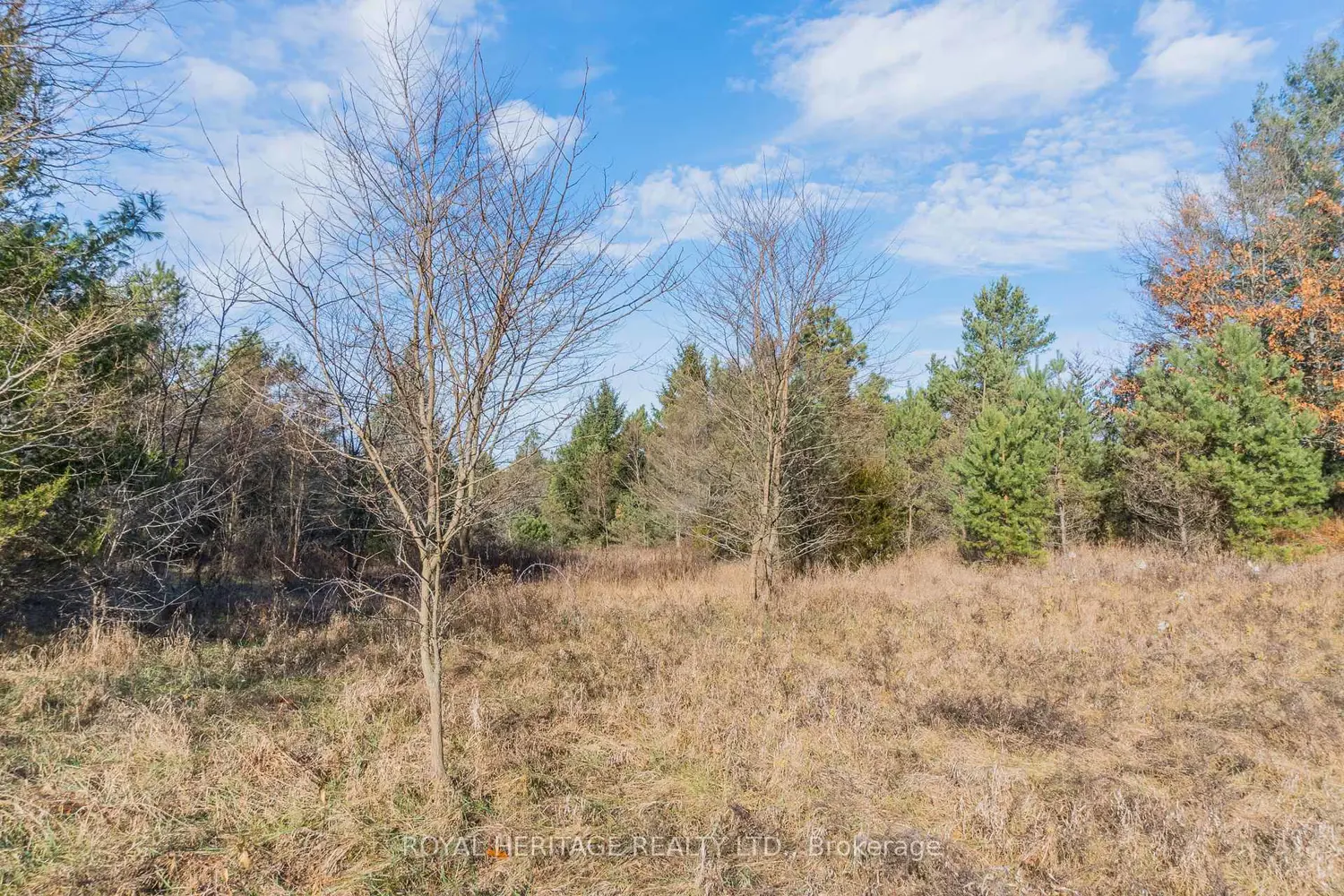 Additional image 3 of 0 County 25 Road