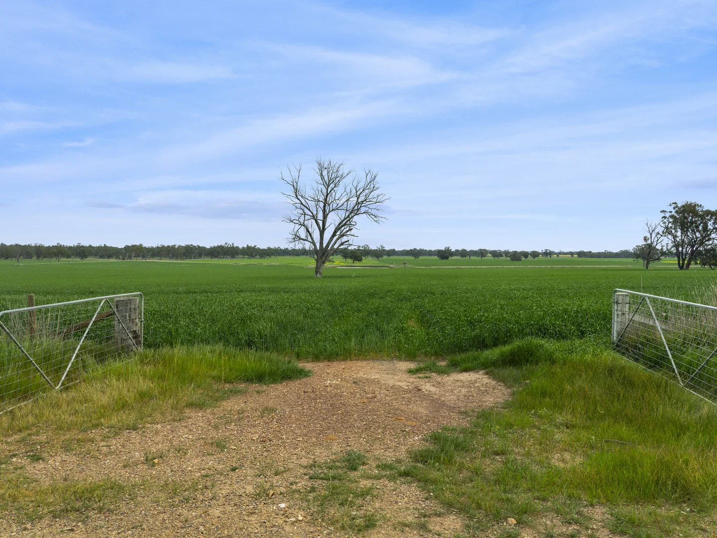 Additional image 17 of 800 Bridge Road, Caniambo VIC 3630