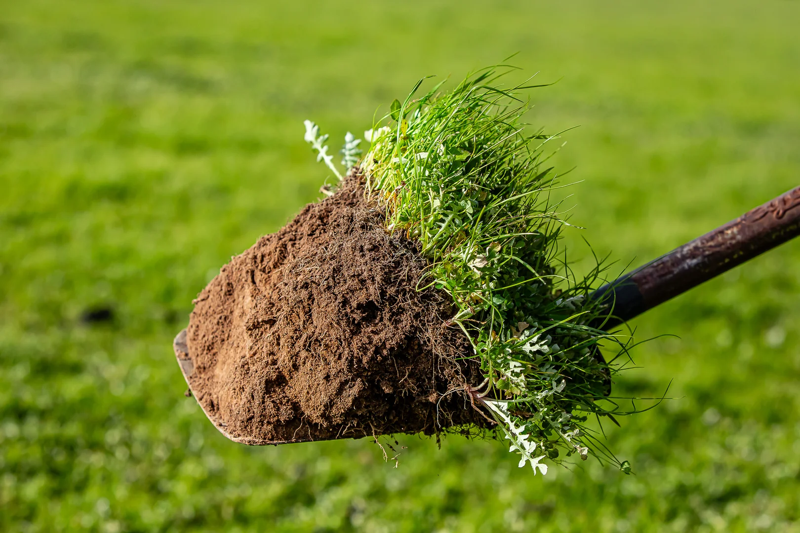 Additional image 6 of 184 Lin Dixons Road, Ullswater VIC 3318