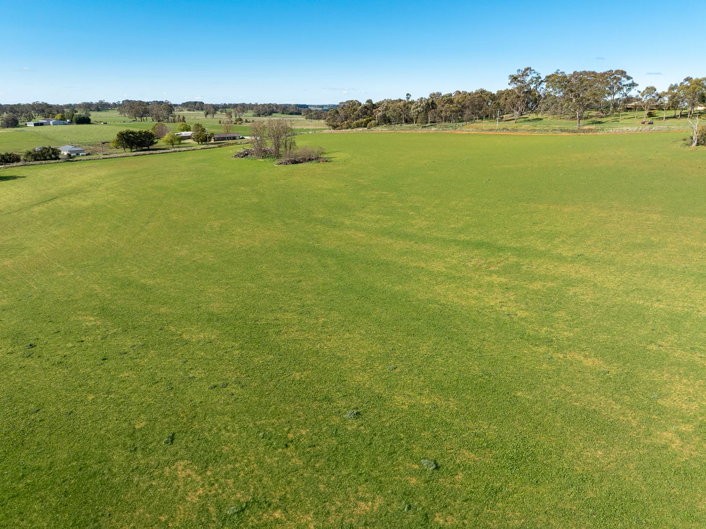 Additional image 12 of 640 Tallwood Road, Forest Reefs NSW 2798