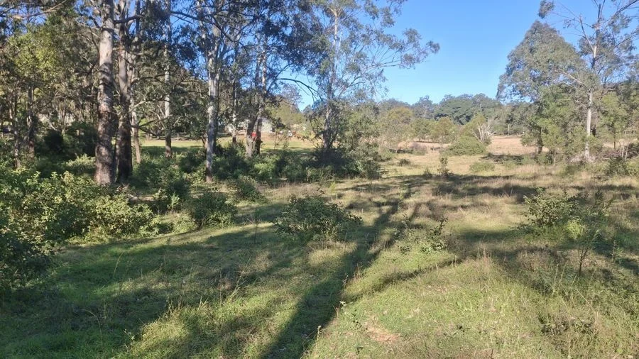 Additional image 4 of Lot 7 Donovan Road, Cabarlah QLD 4352