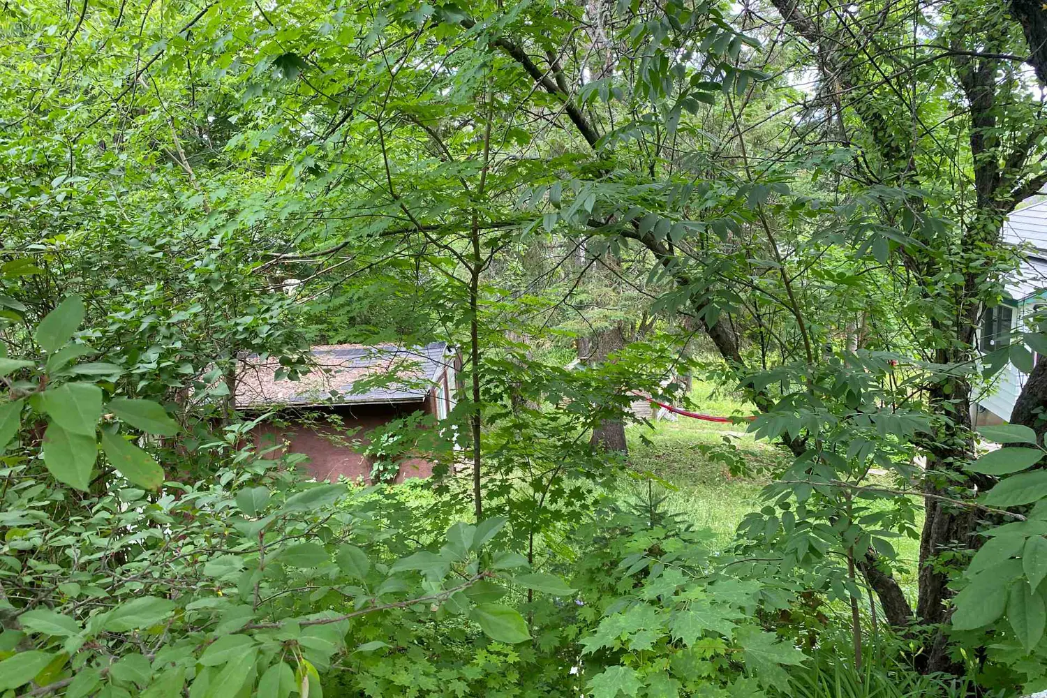 Additional image 5 of 16 Cora Street