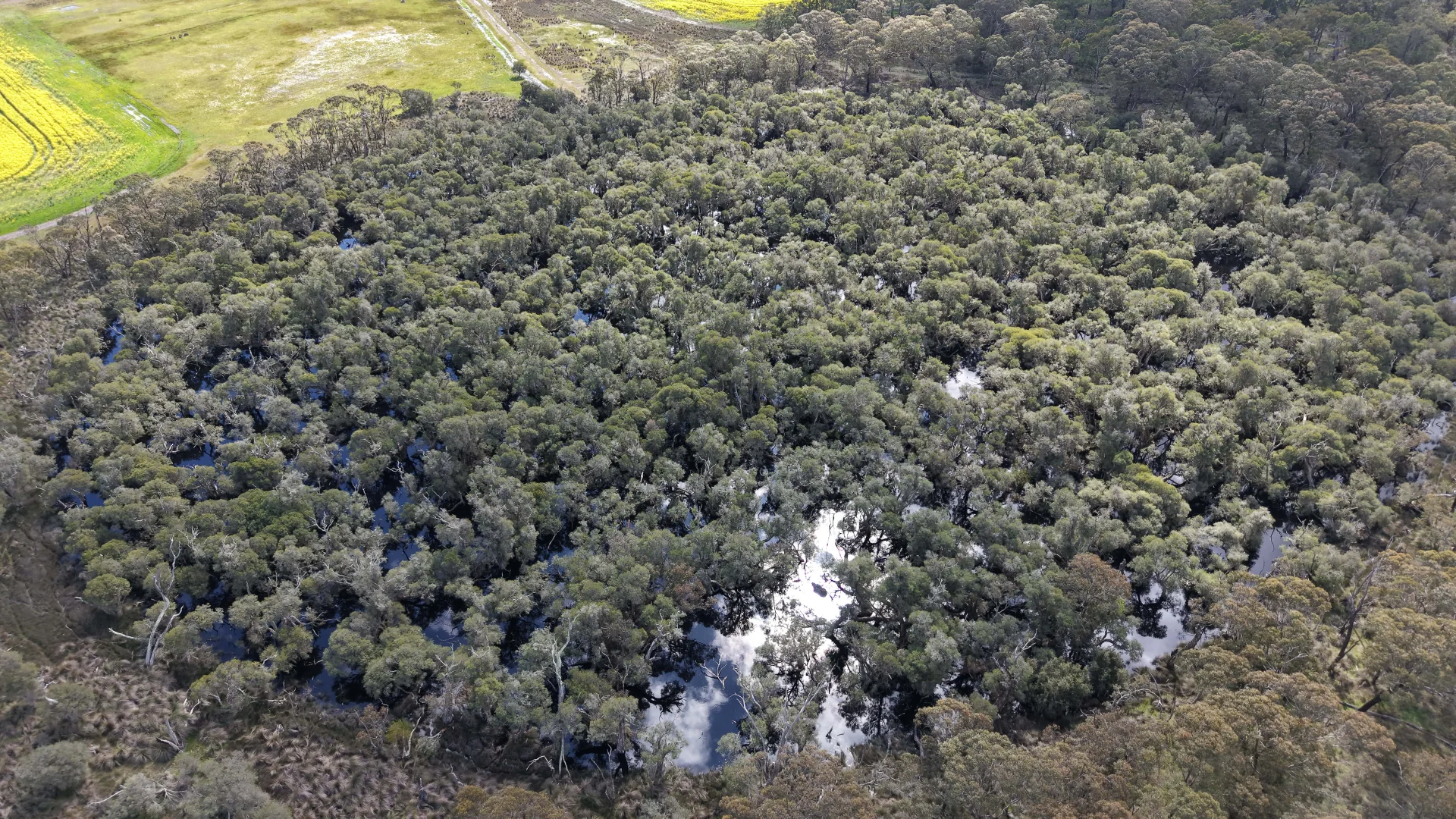 Additional image 17 of 171 Kwornicup Road, Forest Hill WA 6324