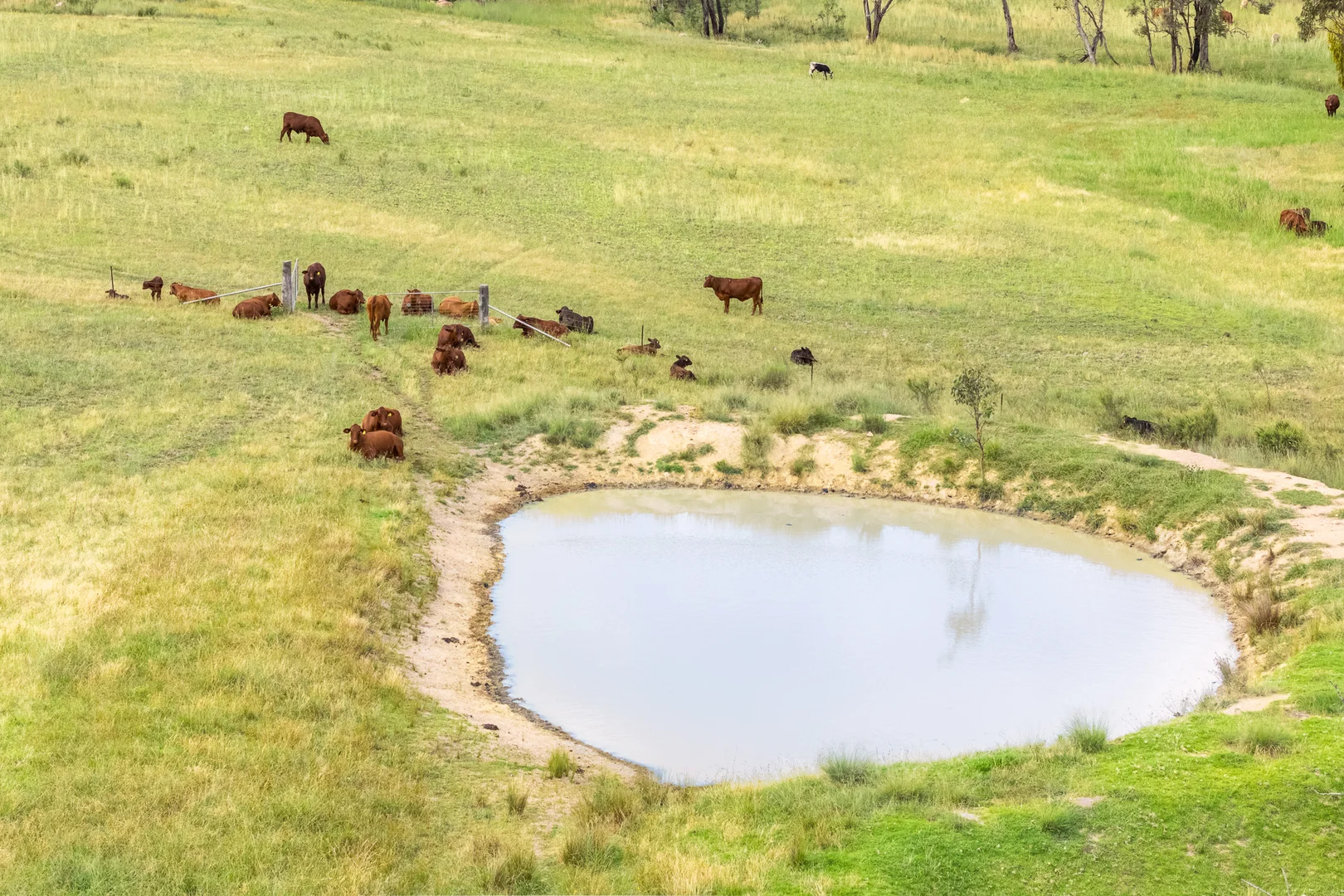 Additional image 9 of 739 Stannifer Road, Stannifer NSW 2369