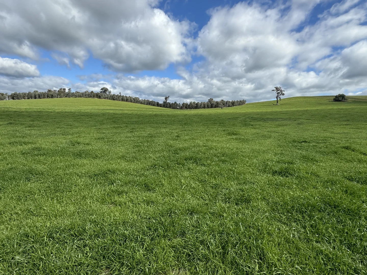 Additional image 42 of 97 Granite Road, Lurg VIC 3673