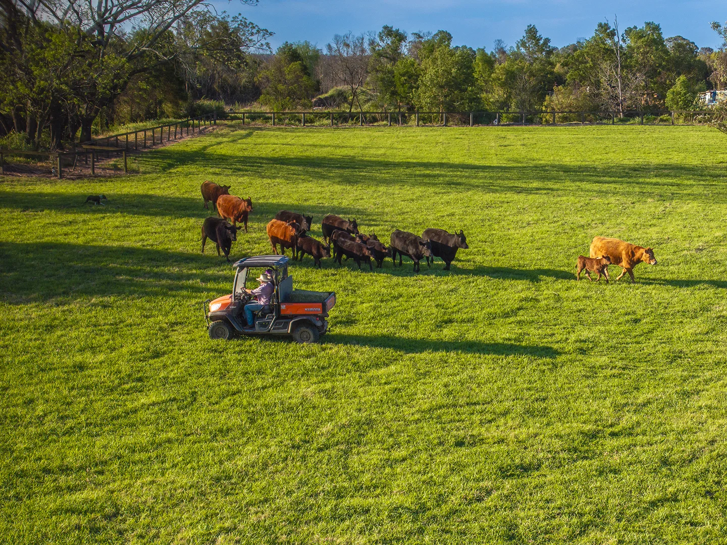 Additional image 4 of 134 Bathurst Street, Pitt Town NSW 2756