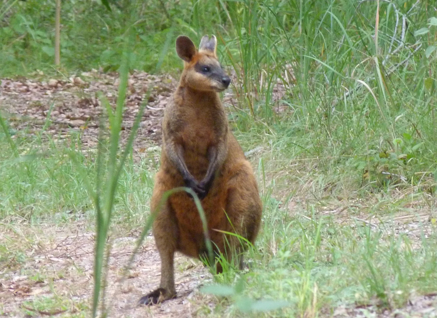 Additional image 17 of Notch Point Road, Ilbilbie QLD 4738