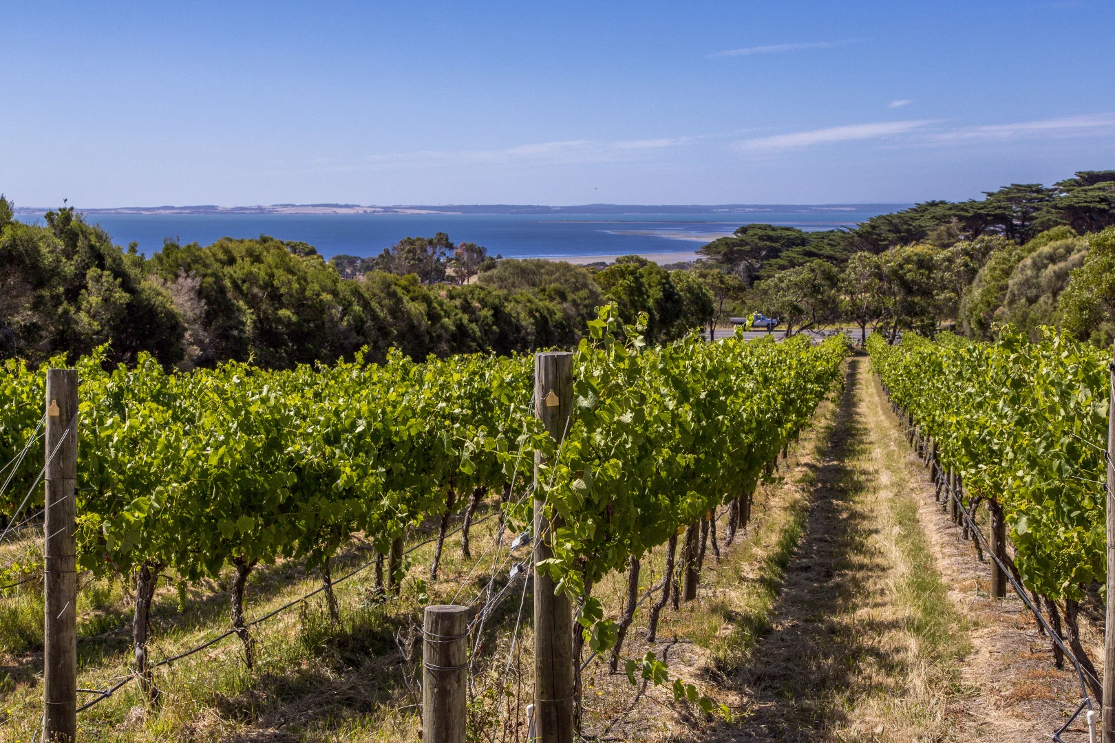 Additional image 30 of 215 Phillip Island Road, San Remo VIC 3925